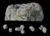 Rock Mold Classic Rock