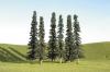 8" - 10" conifer trees 3-pack