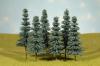 8" - 10" blue spruce trees 3-pack
