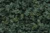 Underbrush Medium Green