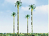 6" Palm Tree 2-Pack