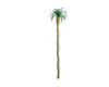 9" Palm Tree