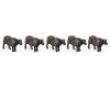 Farm Animals - Cattle (16)