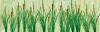 Cattails 1.5" tall 24-pack
