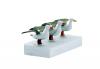Seagulls Taking Off & Sitting variety pack unpainted
