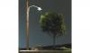 Just Plug™ O Wooden Pole Street Lights