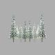 Scenic Snow Spruce 4" to 6" 24-pack