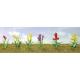 Assorted Flower Plants #2 1" tall 10-pack