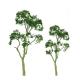 2" Gum Trees 4-pack