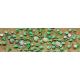 Cantaloupe Patch 1.75" long 6-pack