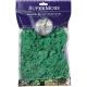 mint SuperMoss® preserved reindeer moss 0.85 in³ (1.4 dm³) bag
