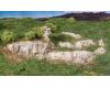 Ready Rocks: Outcroppings