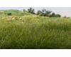 Static Grass 7mm dark green (42 gram bag)