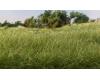 Static Grass 7mm medium green (42 gram bag)
