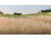 Static Grass 7mm straw (42 gram bag)