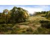 Straw Static Grass 4 mm