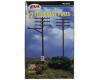 12 Telephone Poles