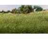Static Grass 2 mm Medium Green