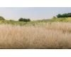 Static Grass 2 mm Straw