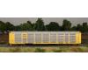 Transportacion Ferroviaria Mexicana Bi-Level Auto Rack #604079