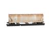 CITX Weathered Two Pack