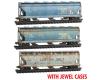 Cotton Belt Weathered 3-Pack