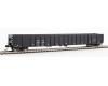 CHTT 68' Railgon Gondola #287074