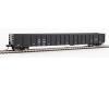 CHTT 68' Railgon Gondola #287095