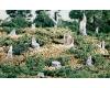 Cut Stumps (14 pieces)