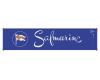 Safmarine 40' magnetic intermodal container 2-pack