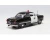 Police Car