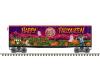 Happy Halloween 40' plug door boxcar #31